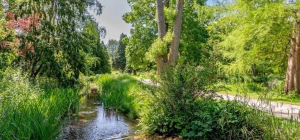 Waterhouse Gardens